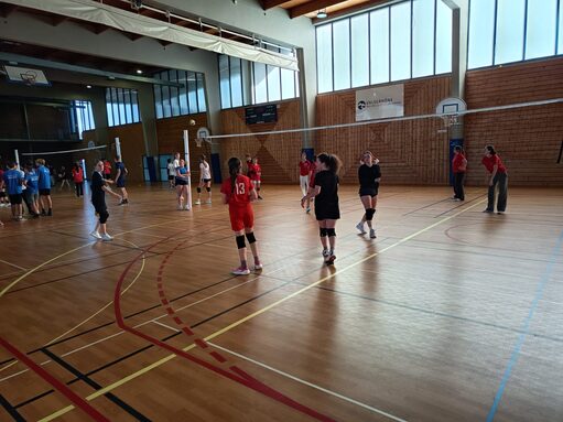 WhatsApp Image 2025-11-18 à 08.42.53_da2bcffc.jpg