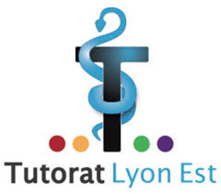 TUTORAT LYON EST.jpg