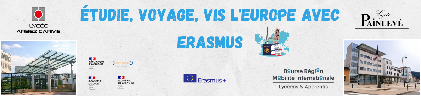 Bannière ENT Erasmus.png